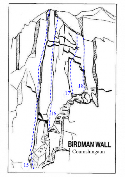 Birdman wall.png