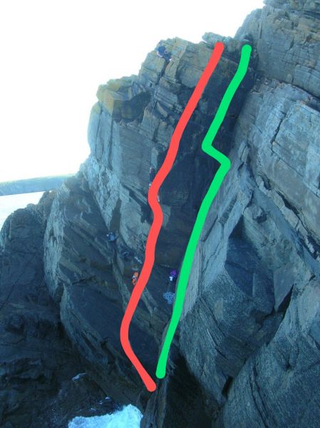 File:Ballycotton Arete & Mozzies and Dolphin..jpg