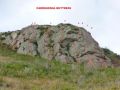 Carrigoona.jpg
