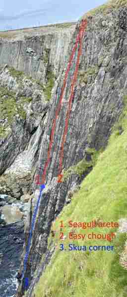 File:Cape Clear Seagull arete.jpg