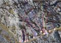 Thumbnail for version as of 13:40, 27 March 2021